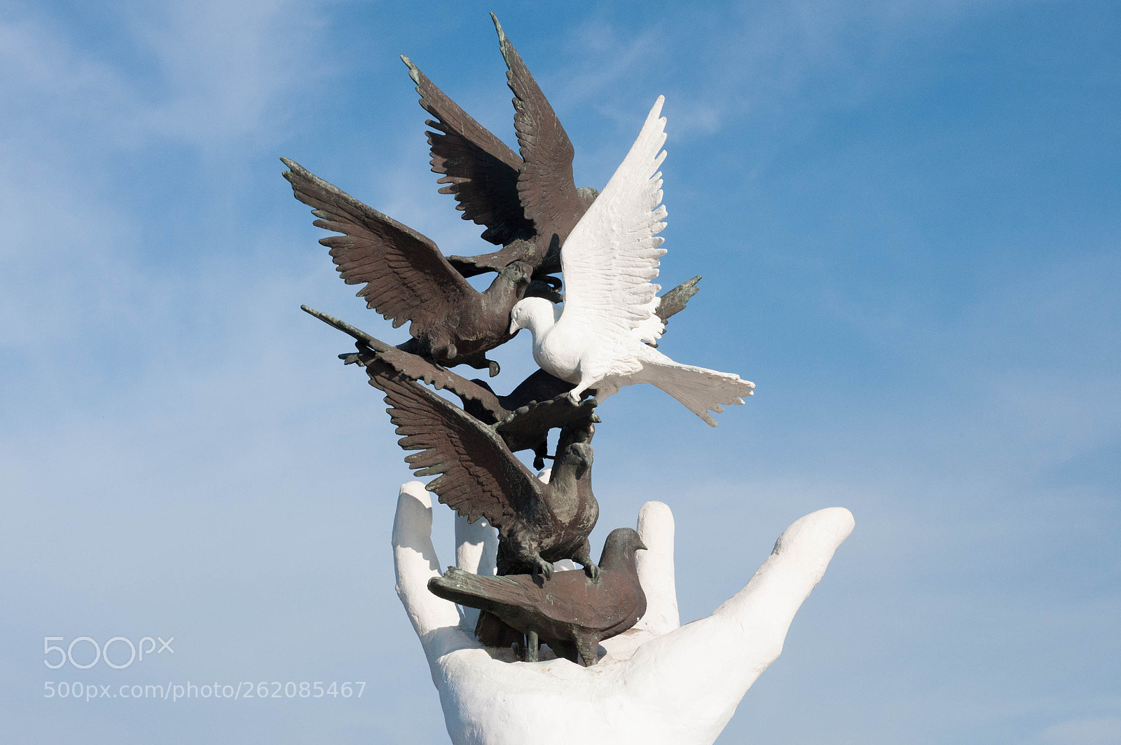 Nikon D90 sample photo. Doves photography