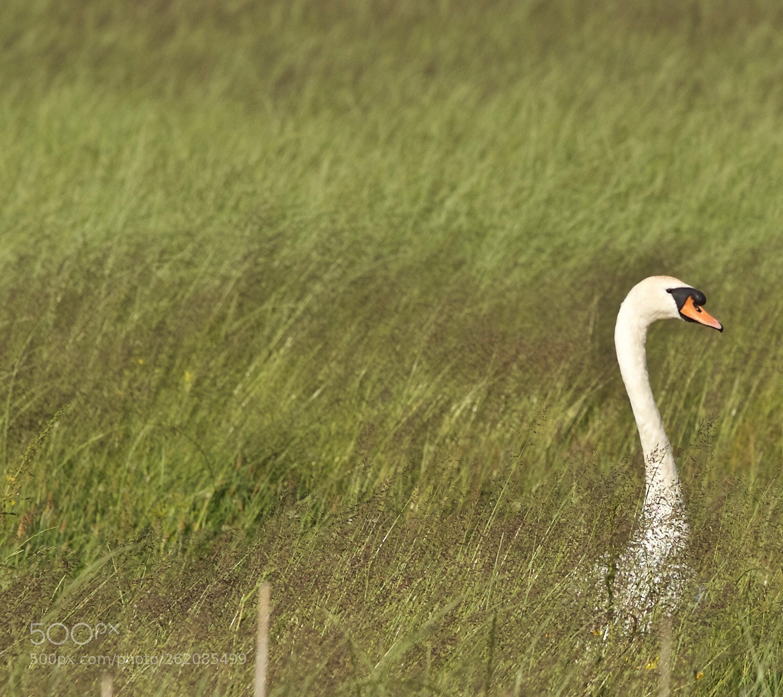 Canon EOS 6D sample photo. Untitled photography