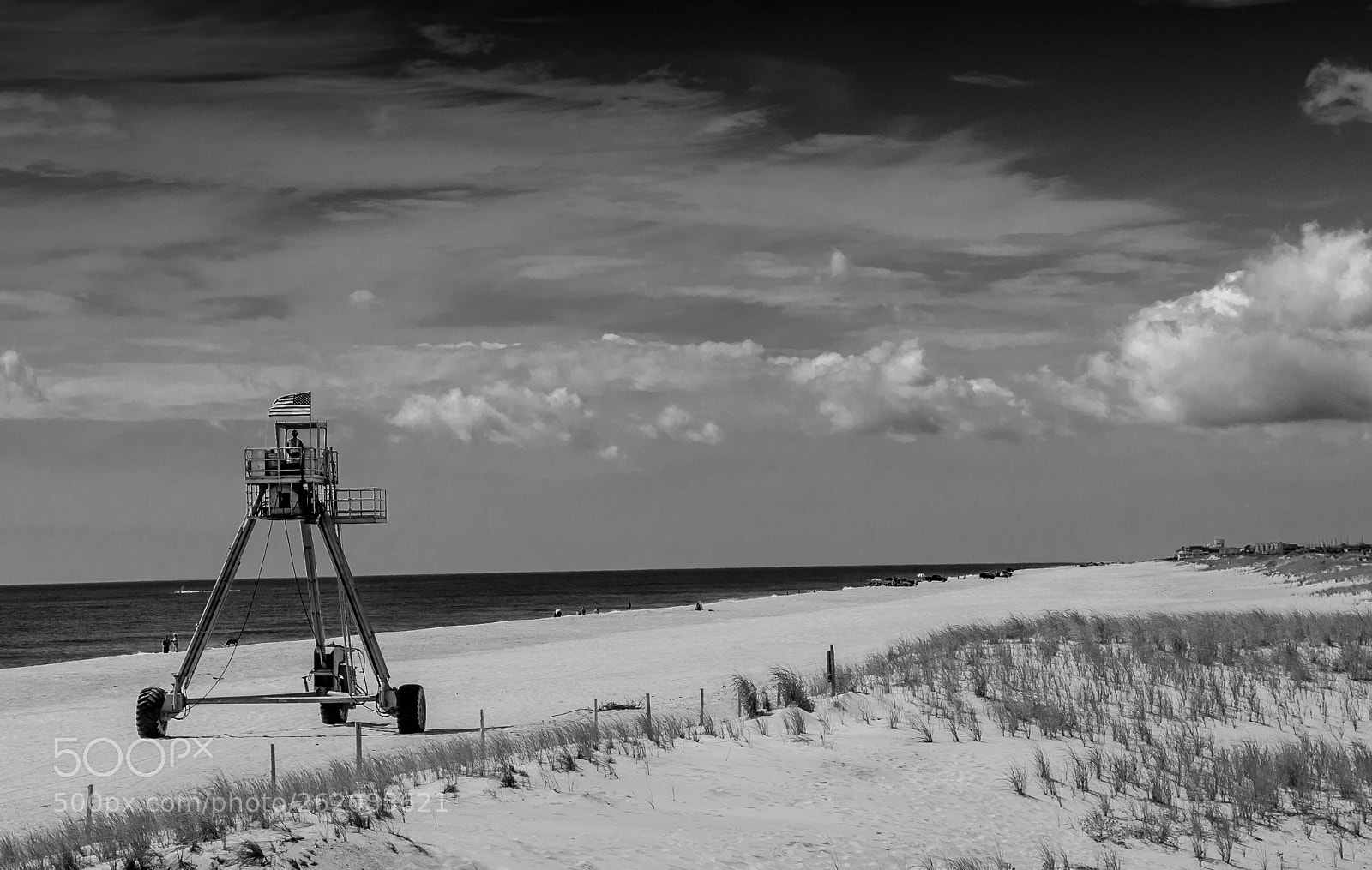Nikon D5100 sample photo. We come in peace photography