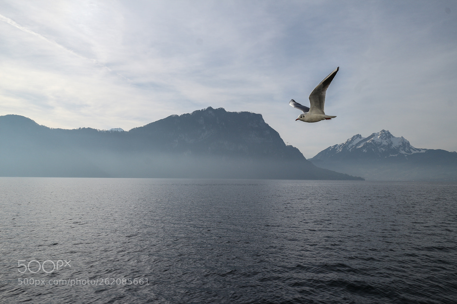 Canon EOS M sample photo. Masters of the sky photography