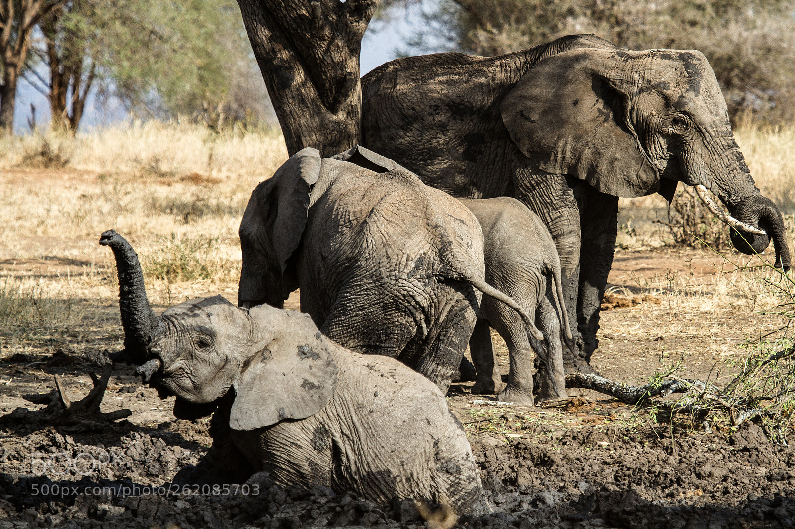 Canon EOS 7D sample photo. Mud bath photography