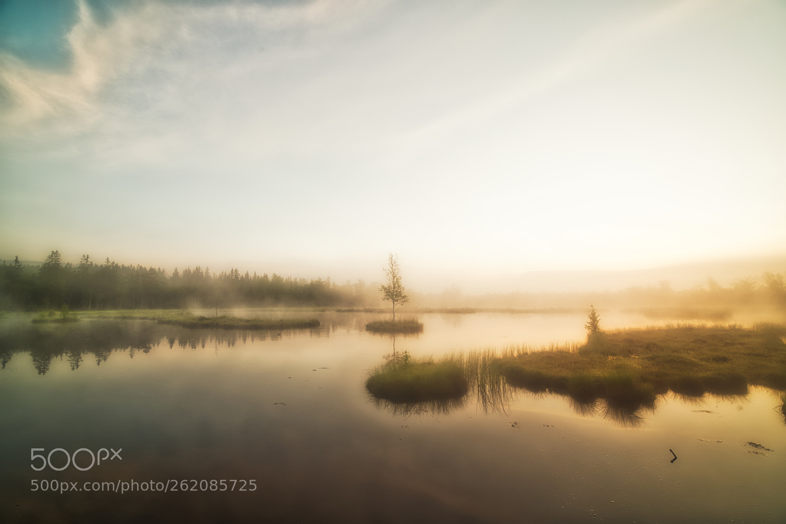 Nikon D750 sample photo. Chalupská slať photography