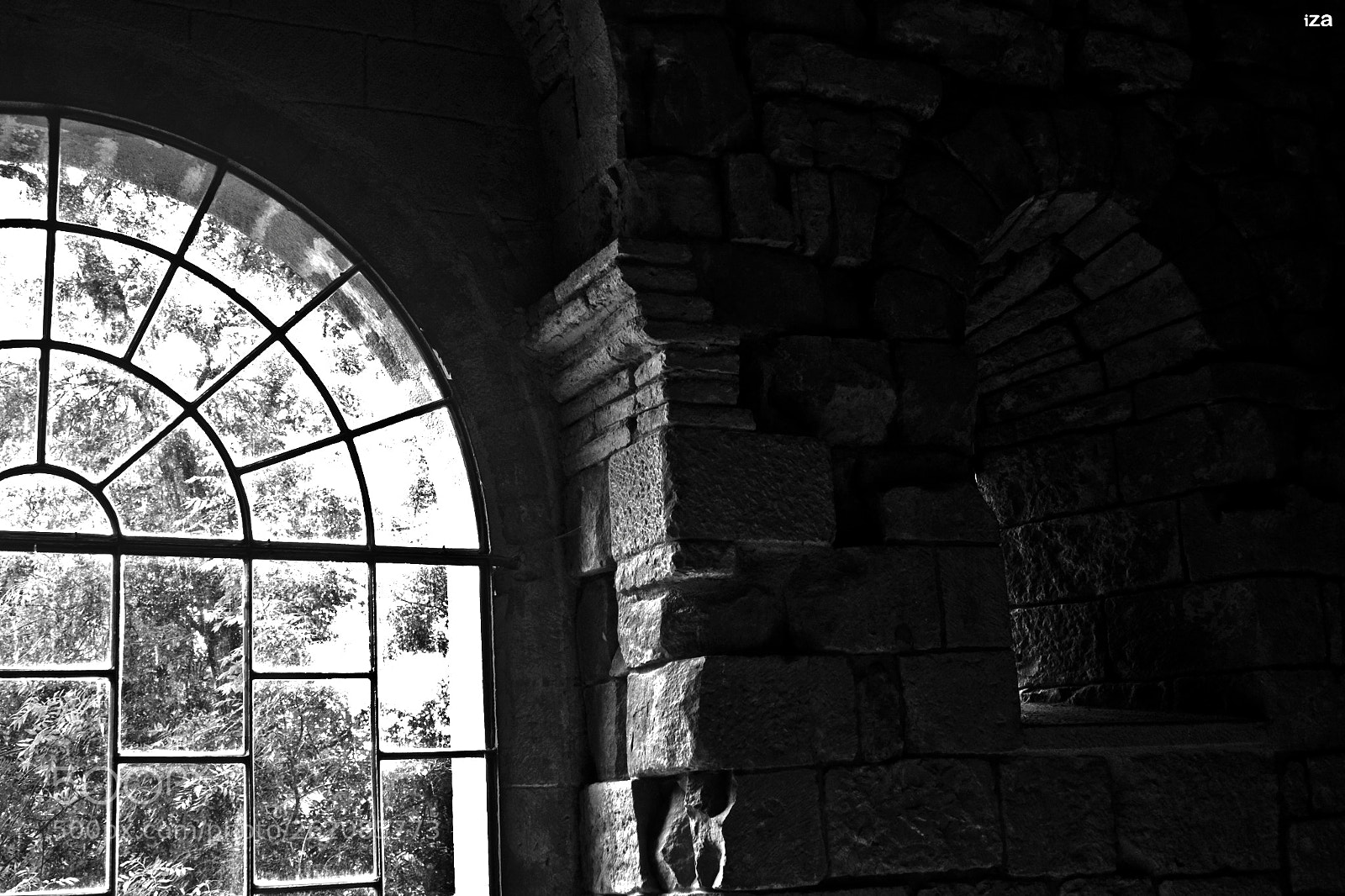 Canon EOS 450D (EOS Rebel XSi / EOS Kiss X2) sample photo. Sheltered of the savage photography