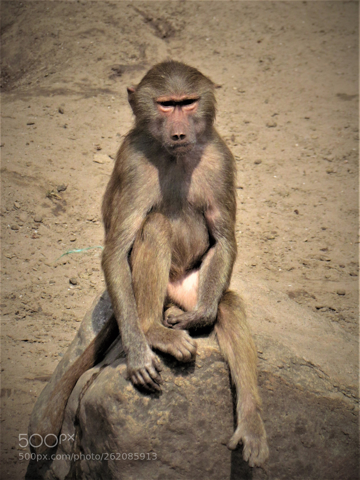Canon PowerShot SX30 IS sample photo. Untitled photography