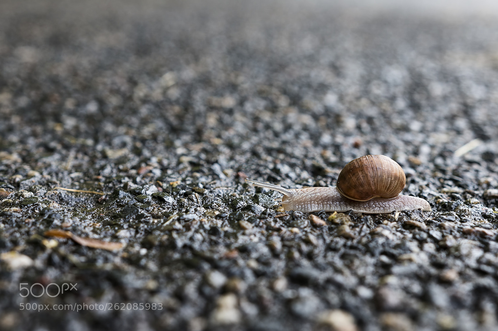 Canon EOS 70D sample photo. Faraway photography