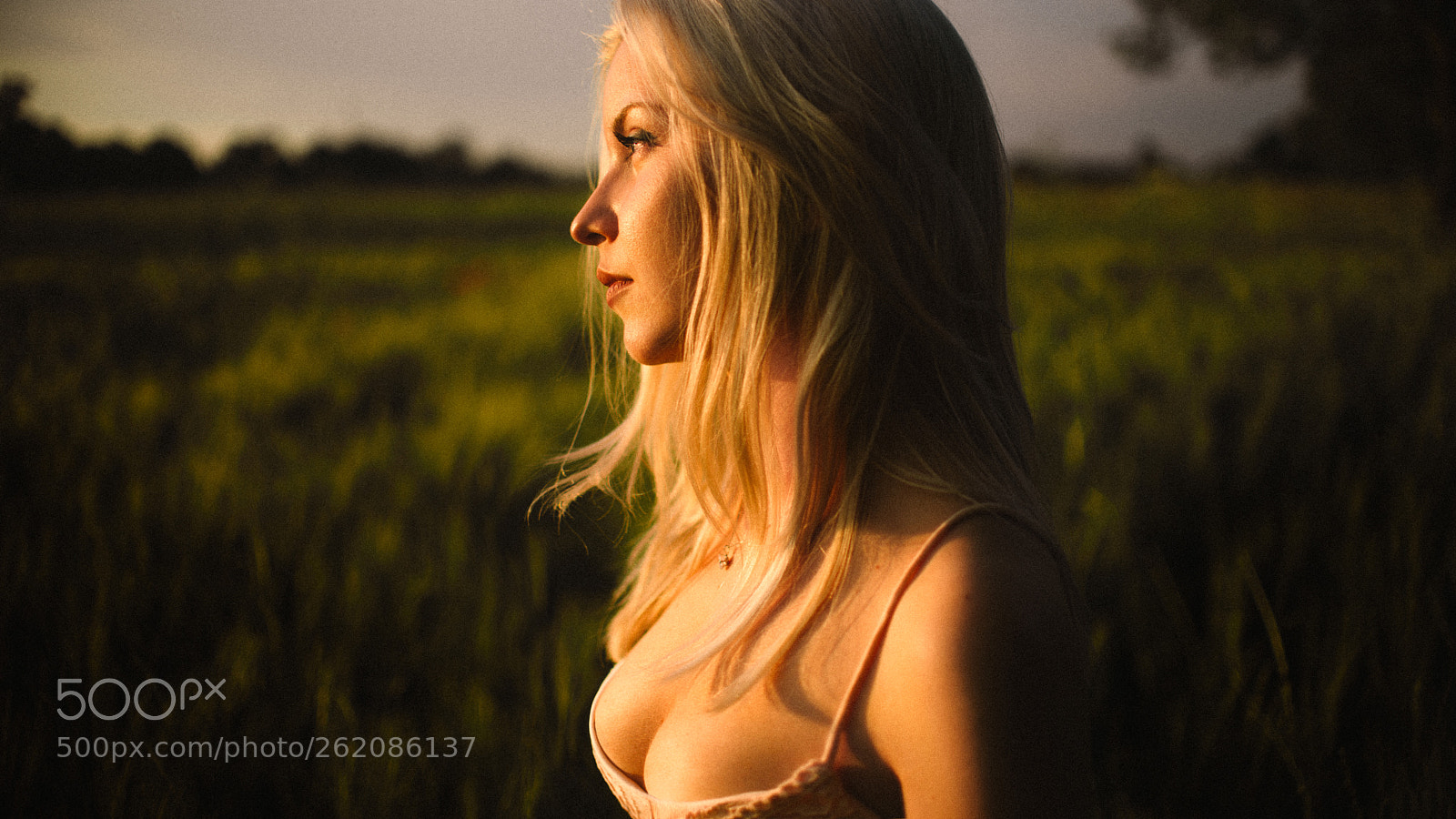 Nikon D800 sample photo. Sundown mood. photography