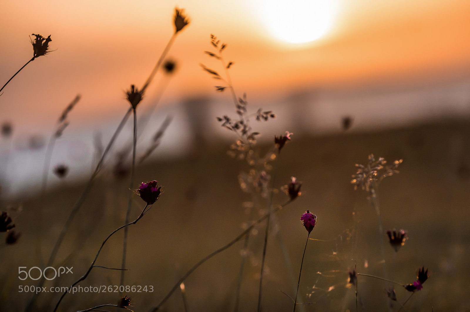 Canon EOS 5D Mark IV sample photo. Mountain morning photography