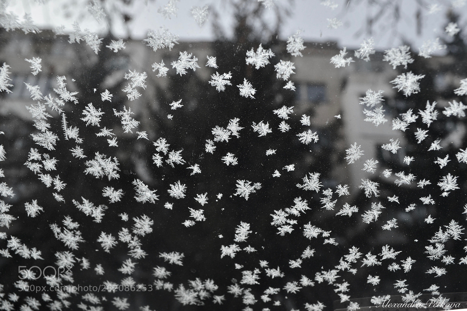 Nikon D3100 sample photo. Iced glass photography