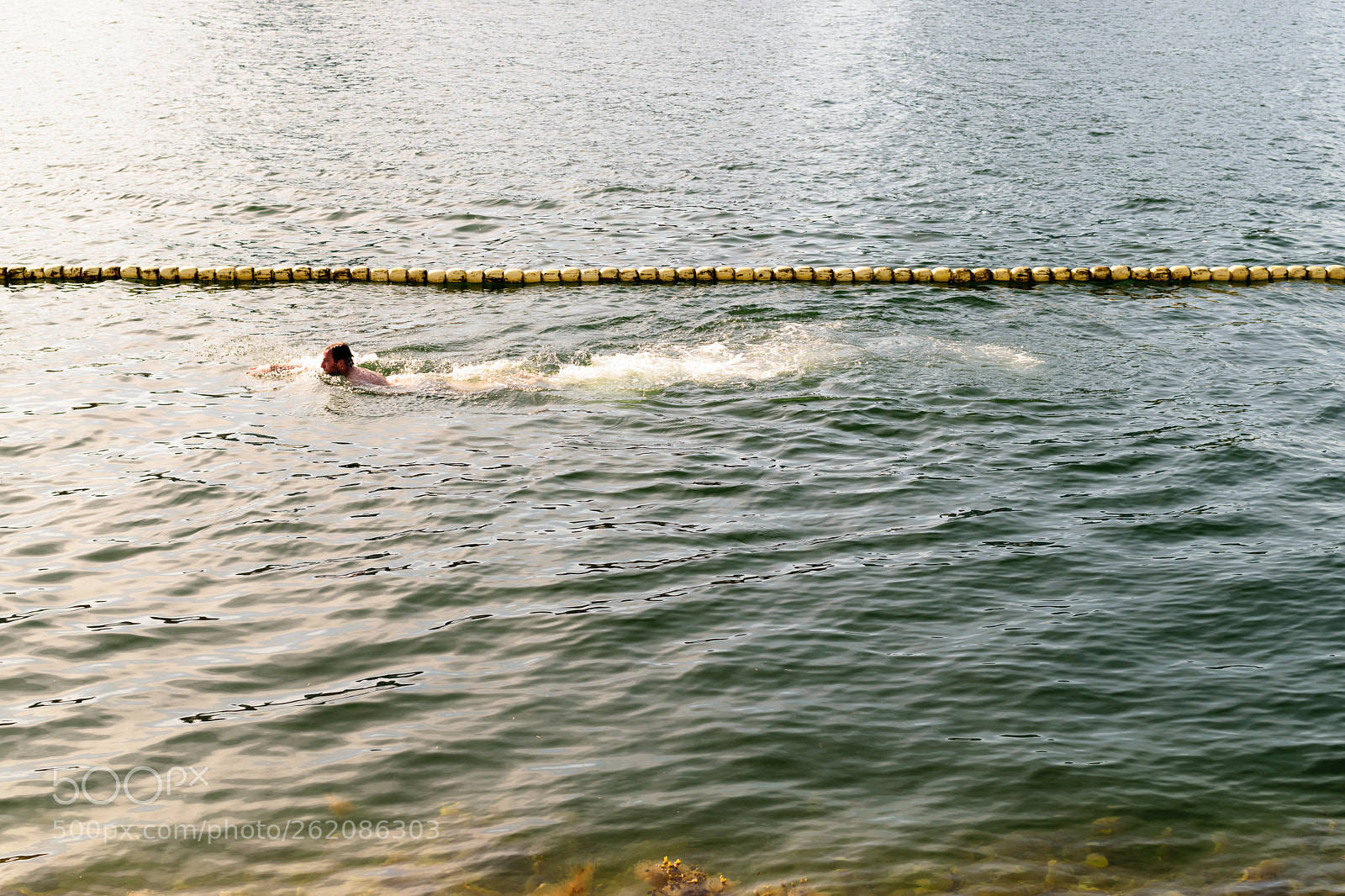 Nikon D3300 sample photo. Lone swimmer photography
