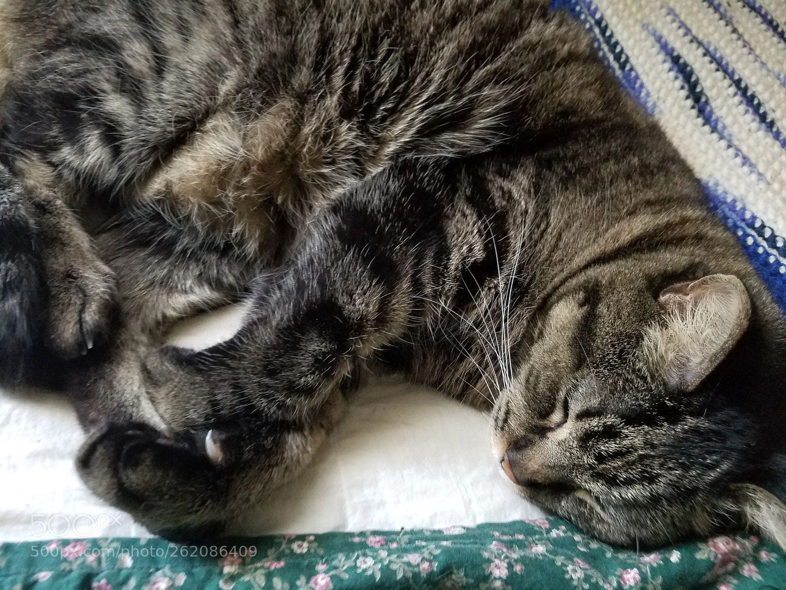 Samsung Galaxy S7 sample photo. 20160430_141953.jpg photography