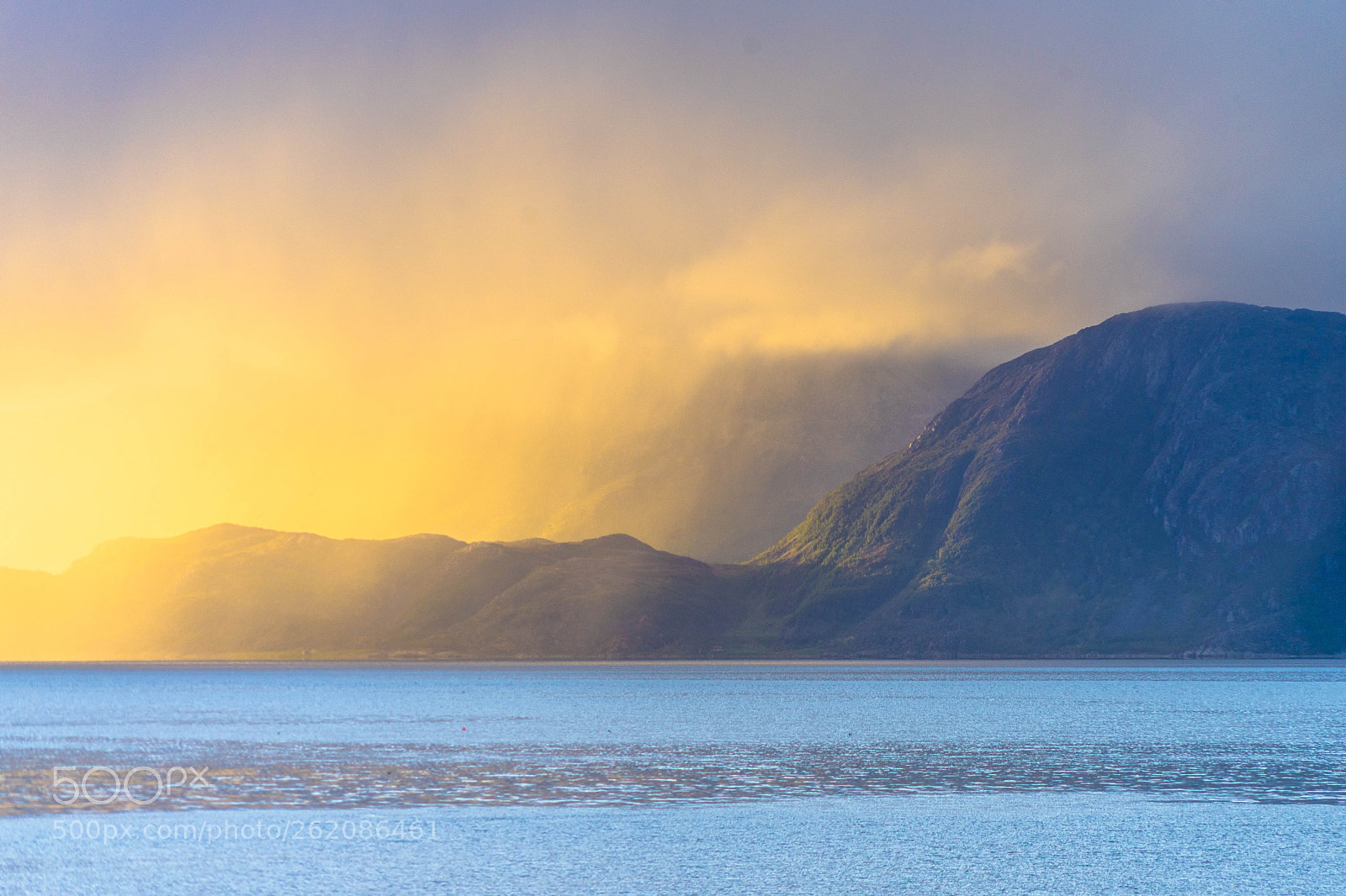 Sony a7 II sample photo. The golden fog photography