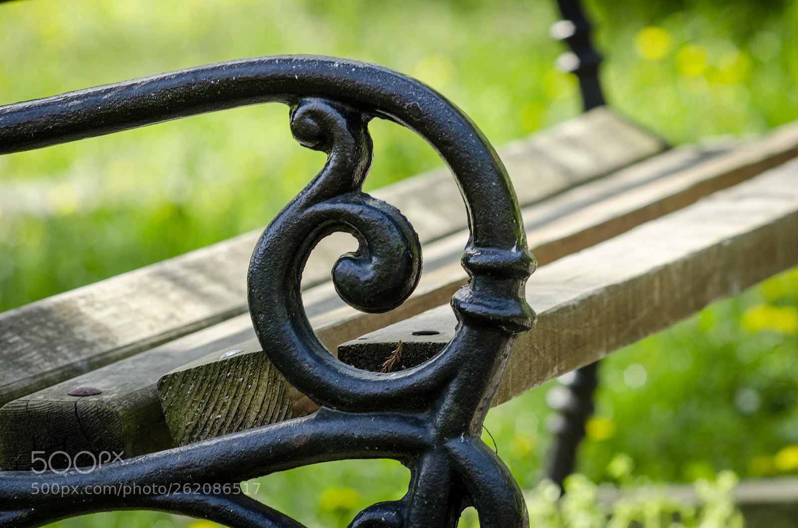 Nikon D7000 sample photo. From my park photography