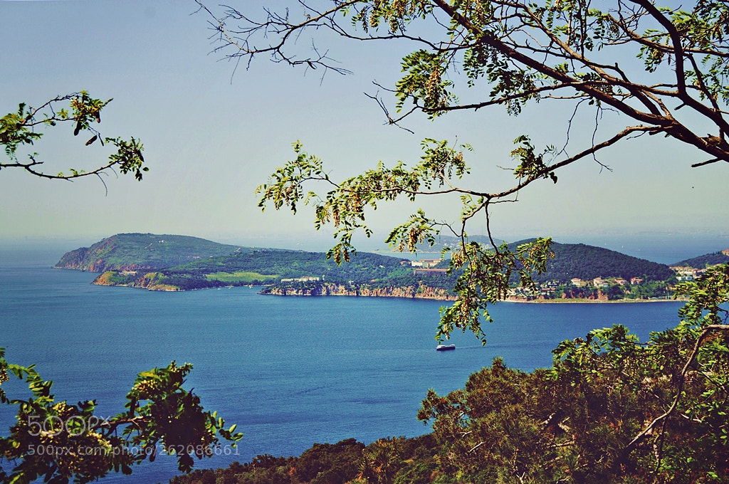 Nikon D5000 sample photo. In paradise land photography