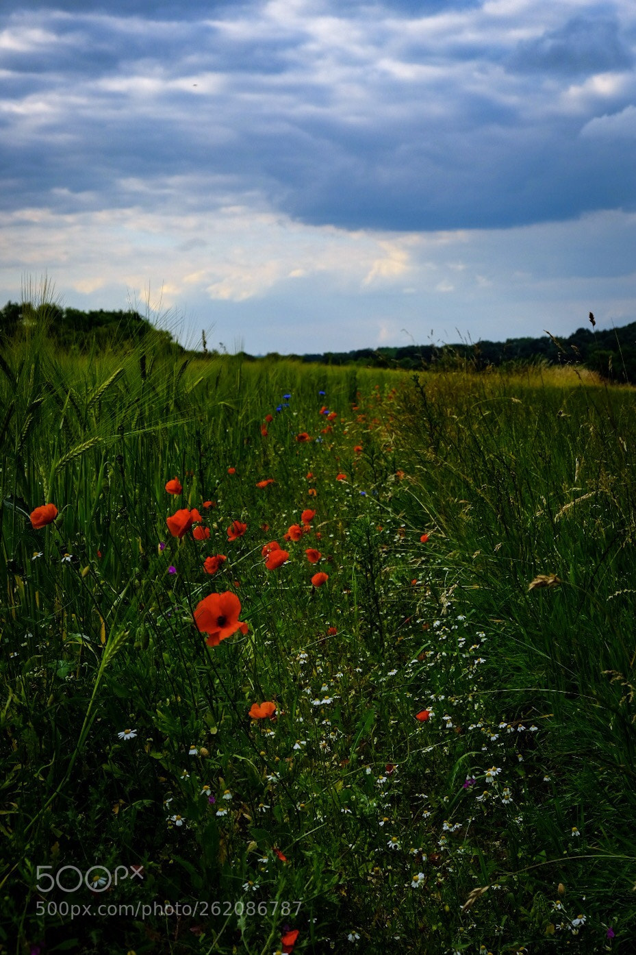 Fujifilm X-T20 sample photo. Untitled photography