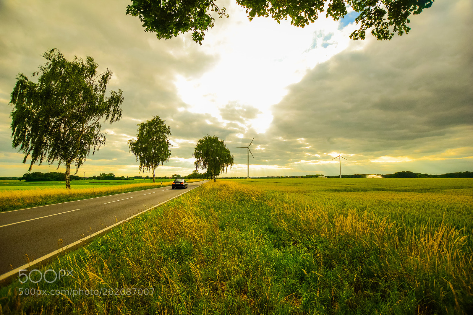 Nikon D3300 sample photo. Rural road photography