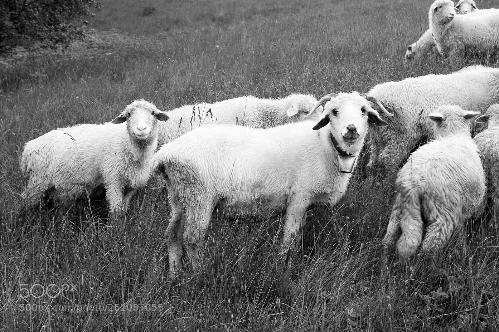 Nikon D3200 sample photo. Dsc_0488-2.jpg photography