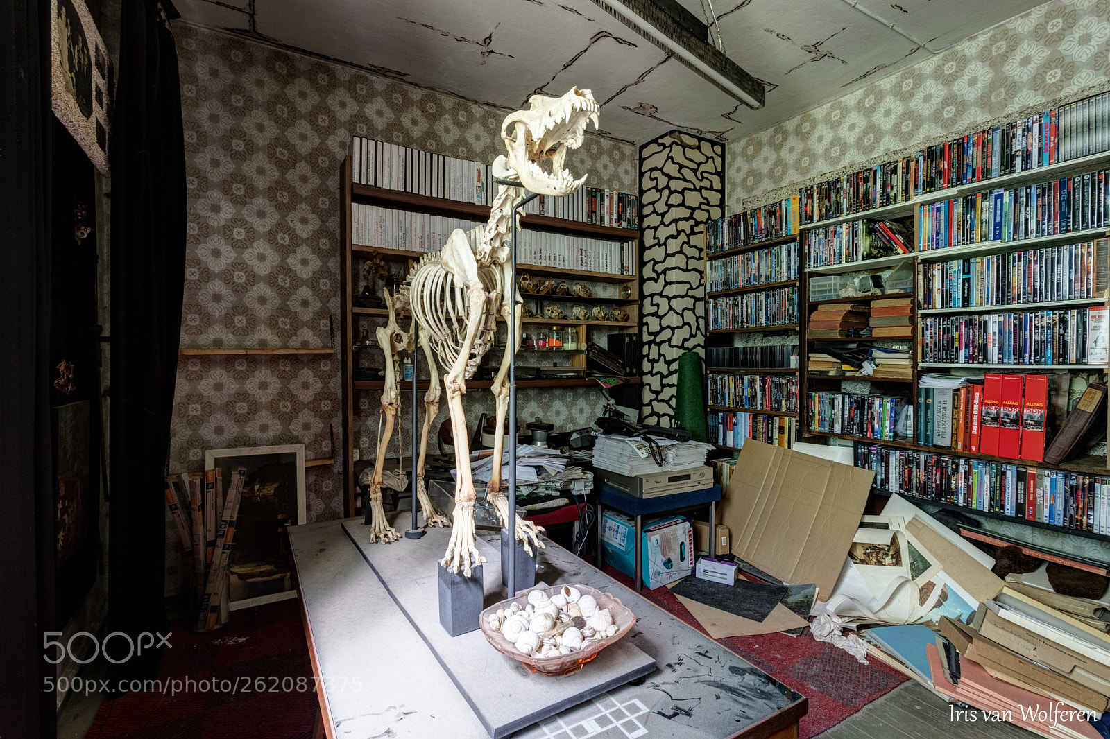 Canon EOS 6D Mark II sample photo. The scientist photography