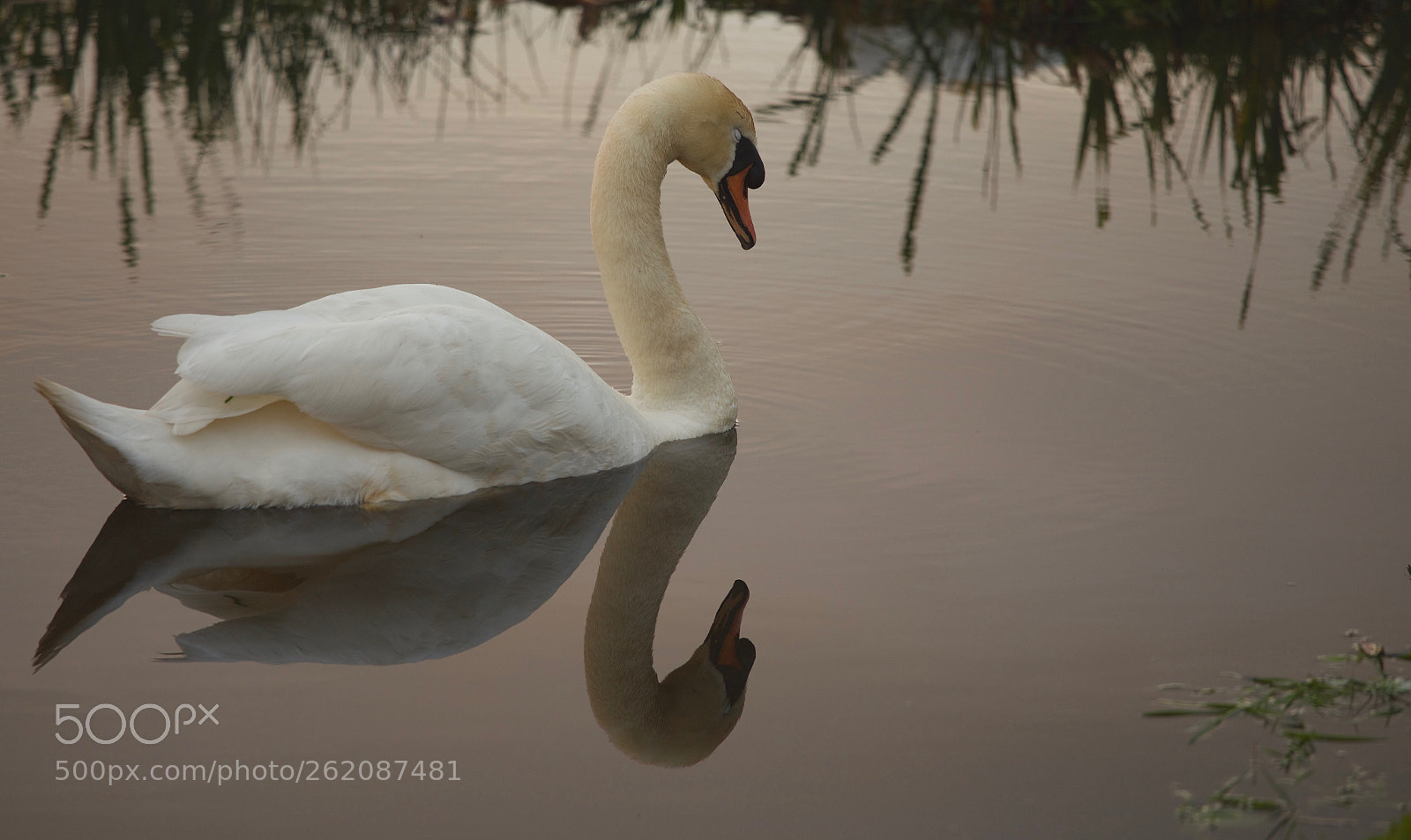 Canon EOS 6D sample photo. Untitled photography