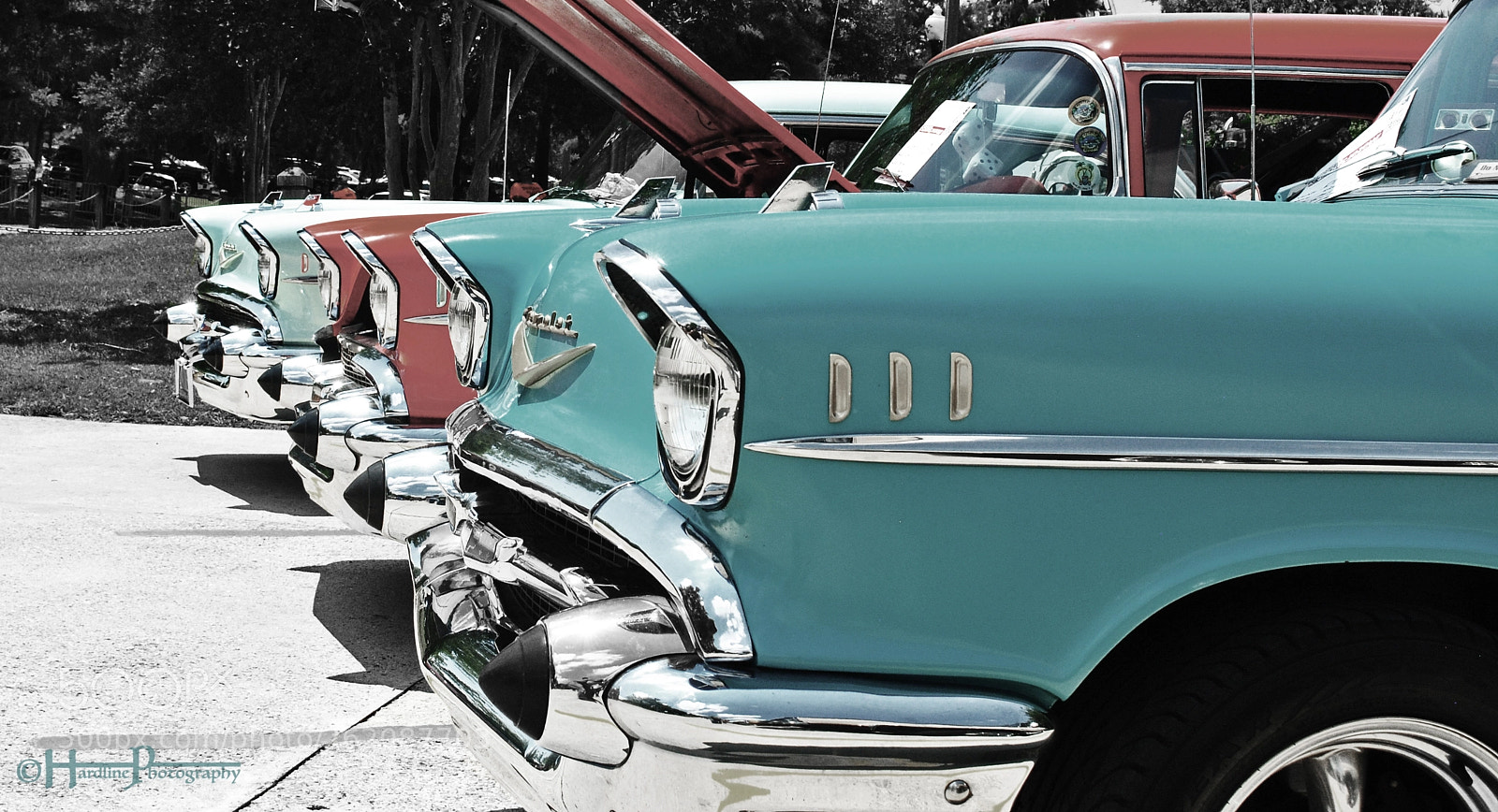 Nikon D3000 sample photo. © chevys photography