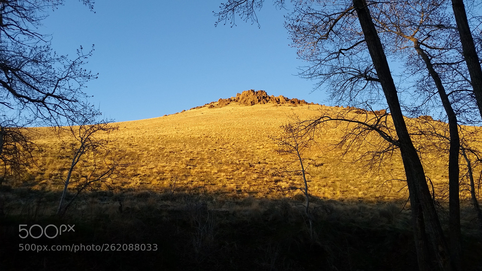 Samsung Galaxy S5 sample photo. Nevada hillside photography