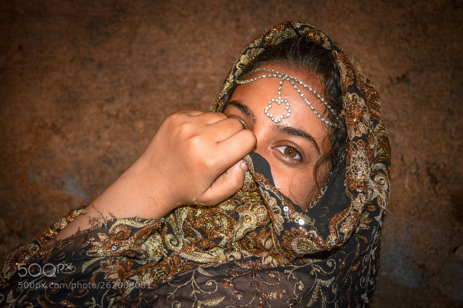 Nikon D5200 sample photo. Saree photography