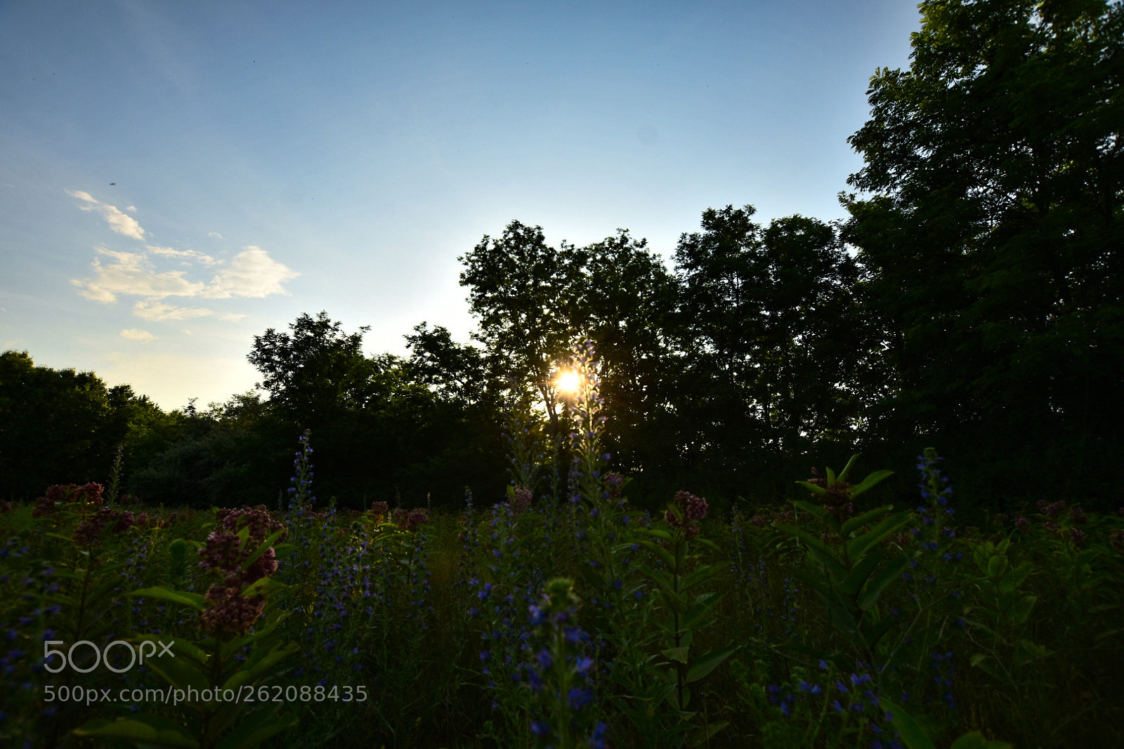 Nikon D7200 sample photo. Untitled photography