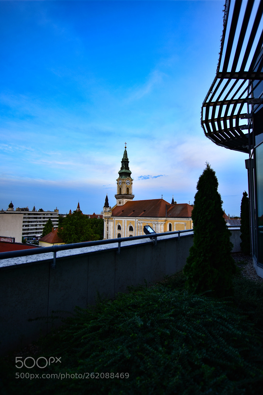 Nikon D7200 sample photo. Untitled photography