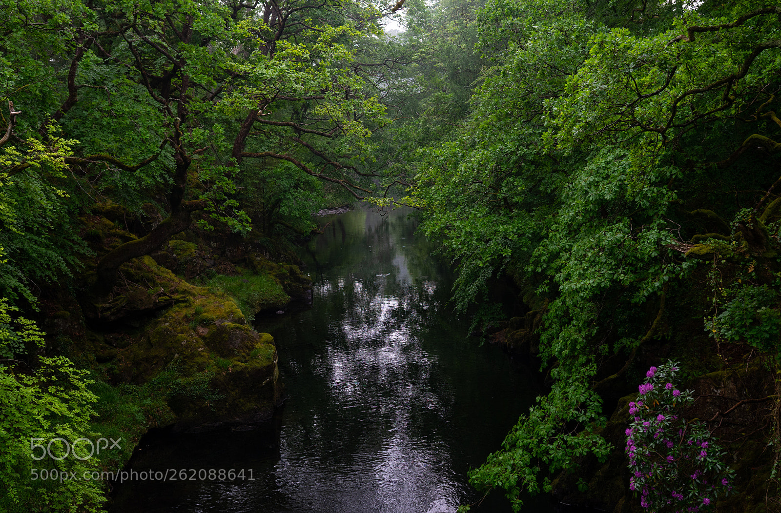 Sony a7 II sample photo. Wales ii photography