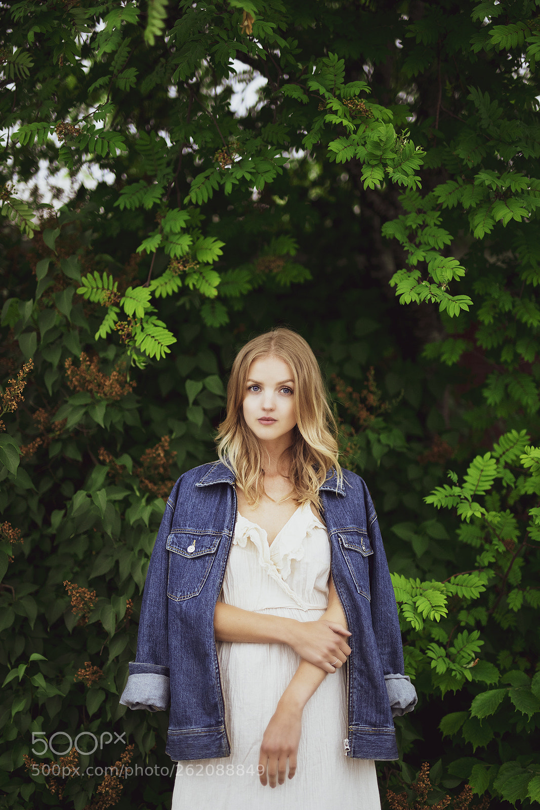 Canon EOS 5D Mark IV sample photo. G r e e photography
