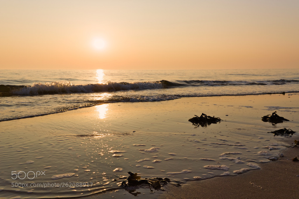 Canon EOS 750D (EOS Rebel T6i / EOS Kiss X8i) sample photo. Misty dawn photography