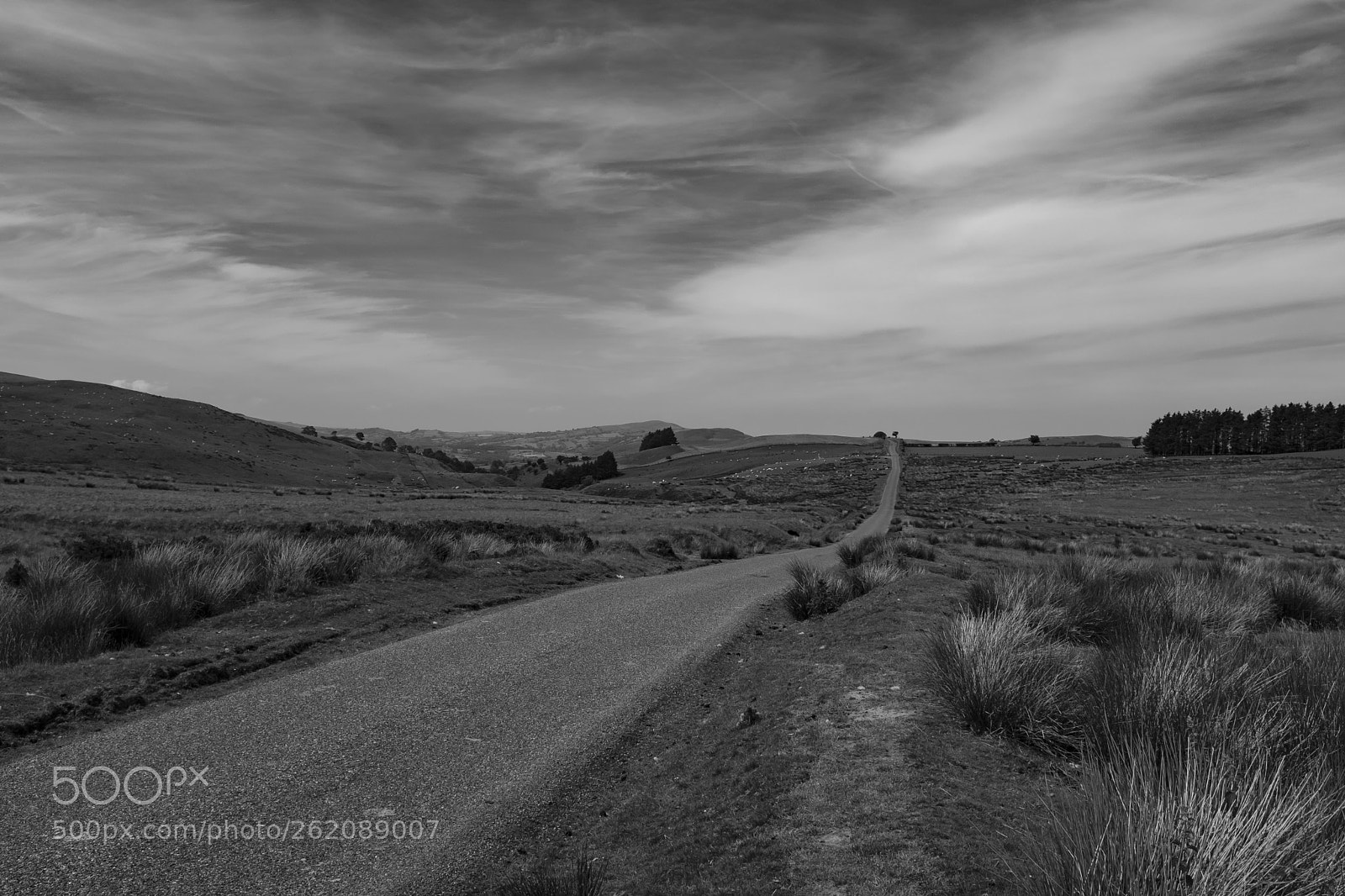 Fujifilm X100F sample photo. Brecon photography