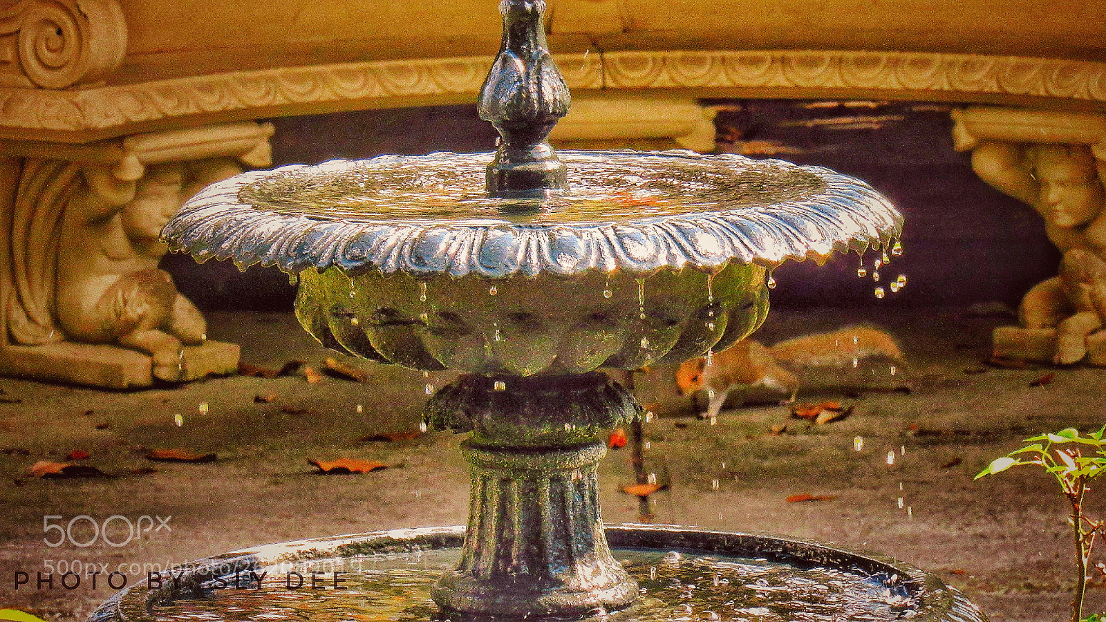 Canon PowerShot SX530 HS sample photo. A stop in time photography