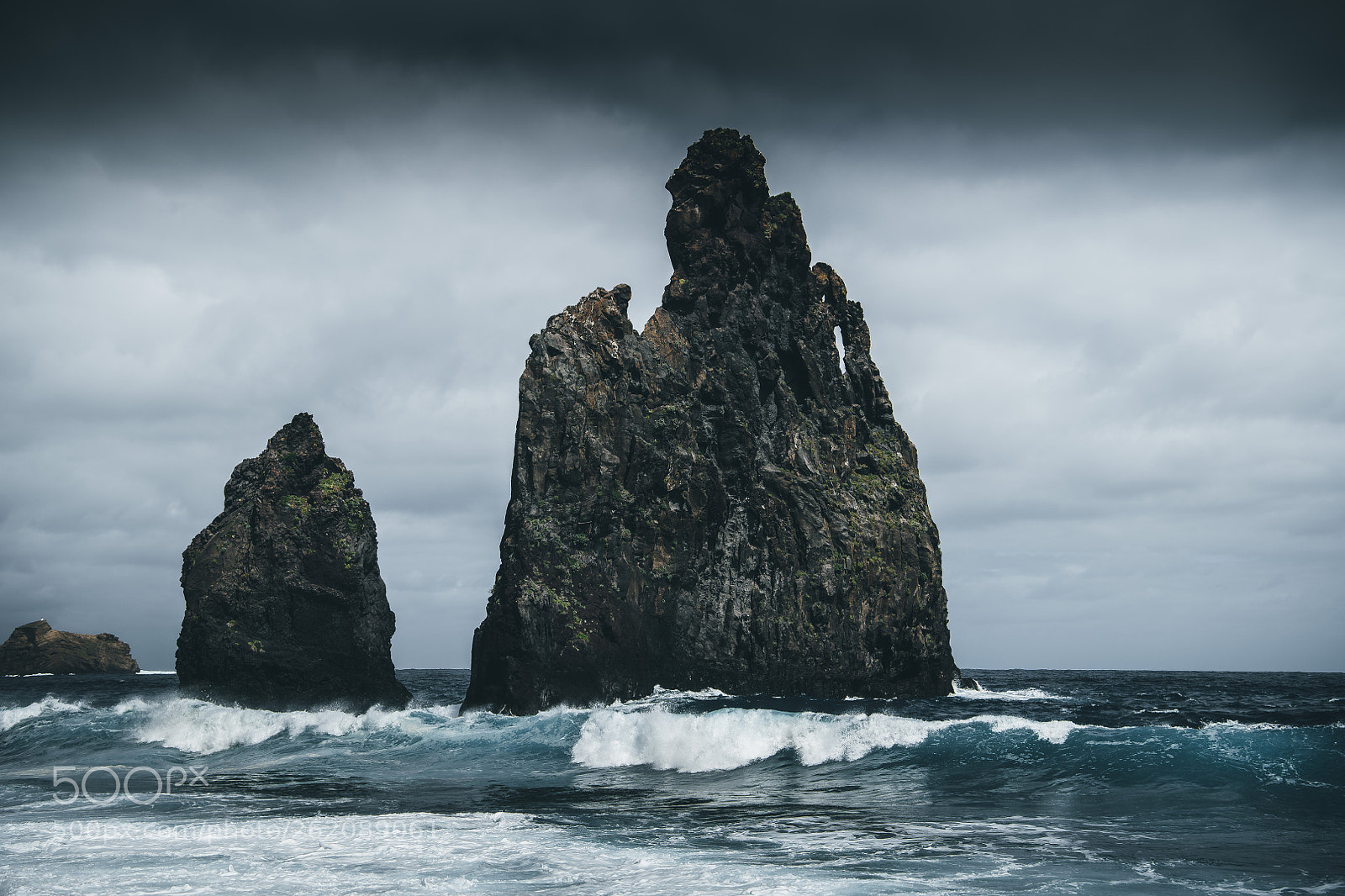 Nikon D850 sample photo. Wild mornings photography