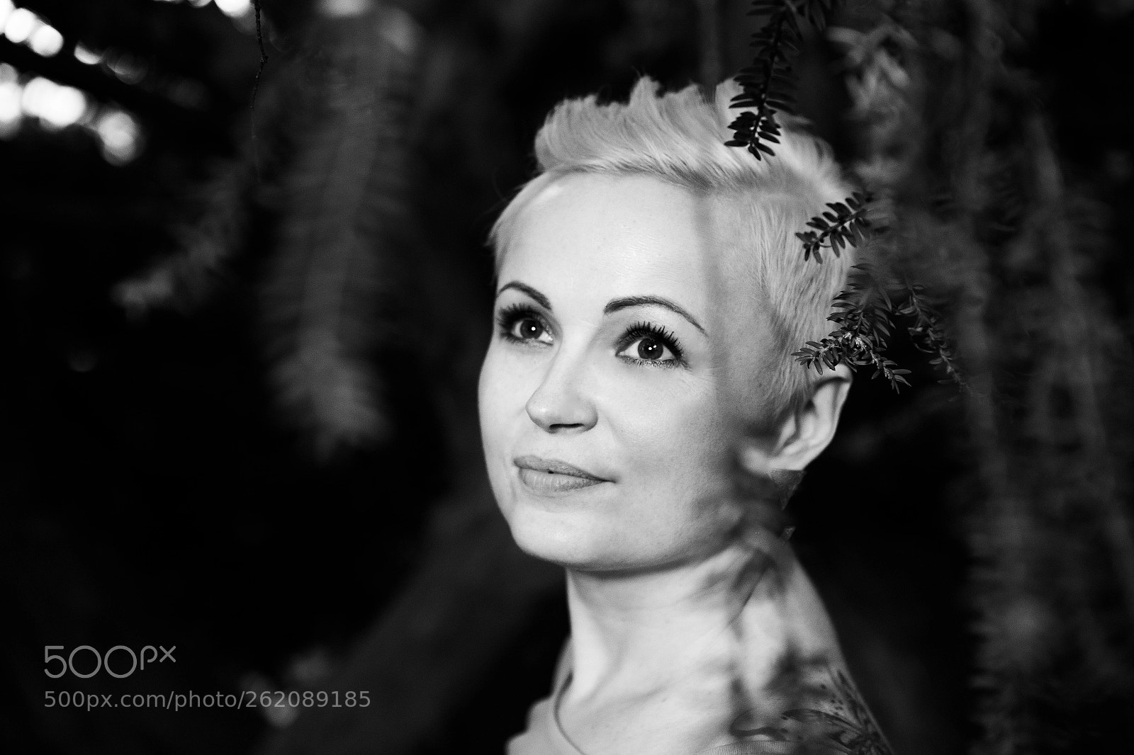Canon EOS 6D sample photo. Untitled photography