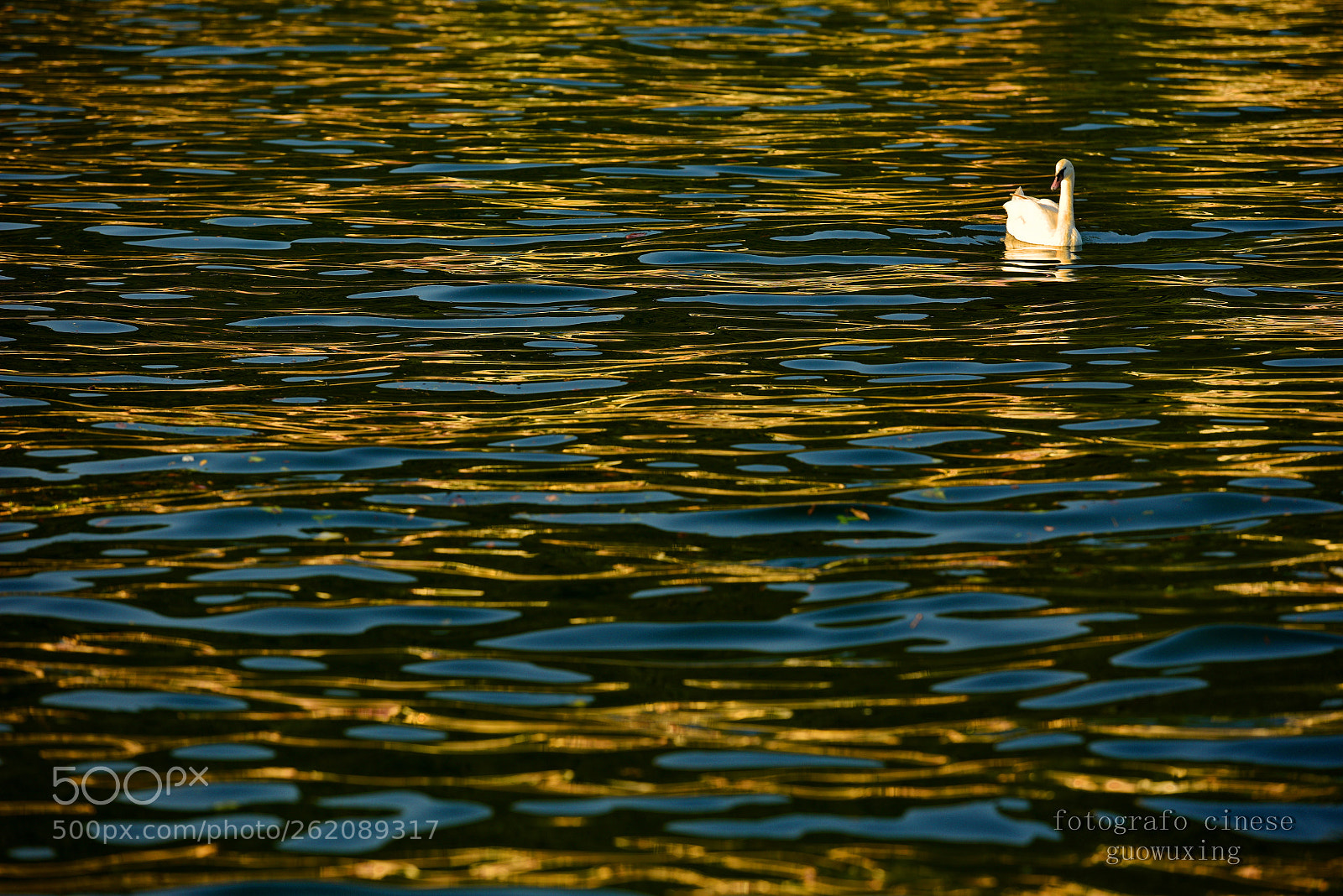 Nikon AF-S Nikkor 70-200mm F2.8G ED VR II sample photo. Untitled photography