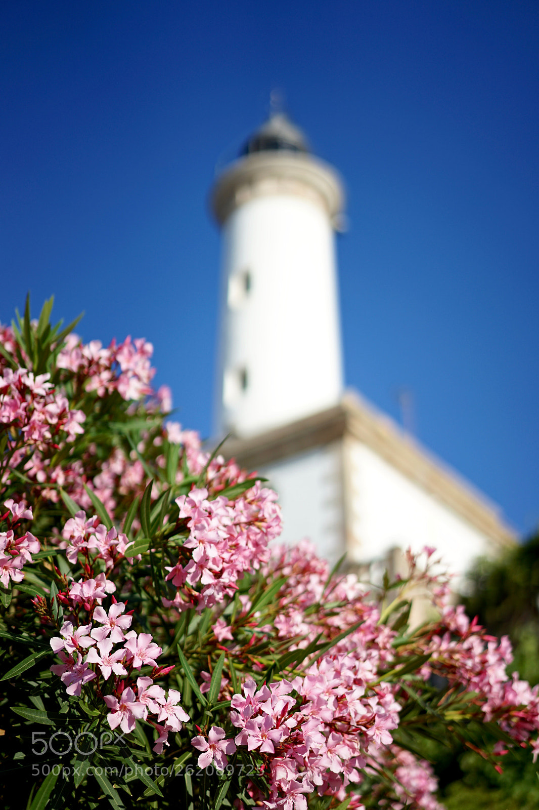 Sony a7 II sample photo. Botafoch lighthouse photography