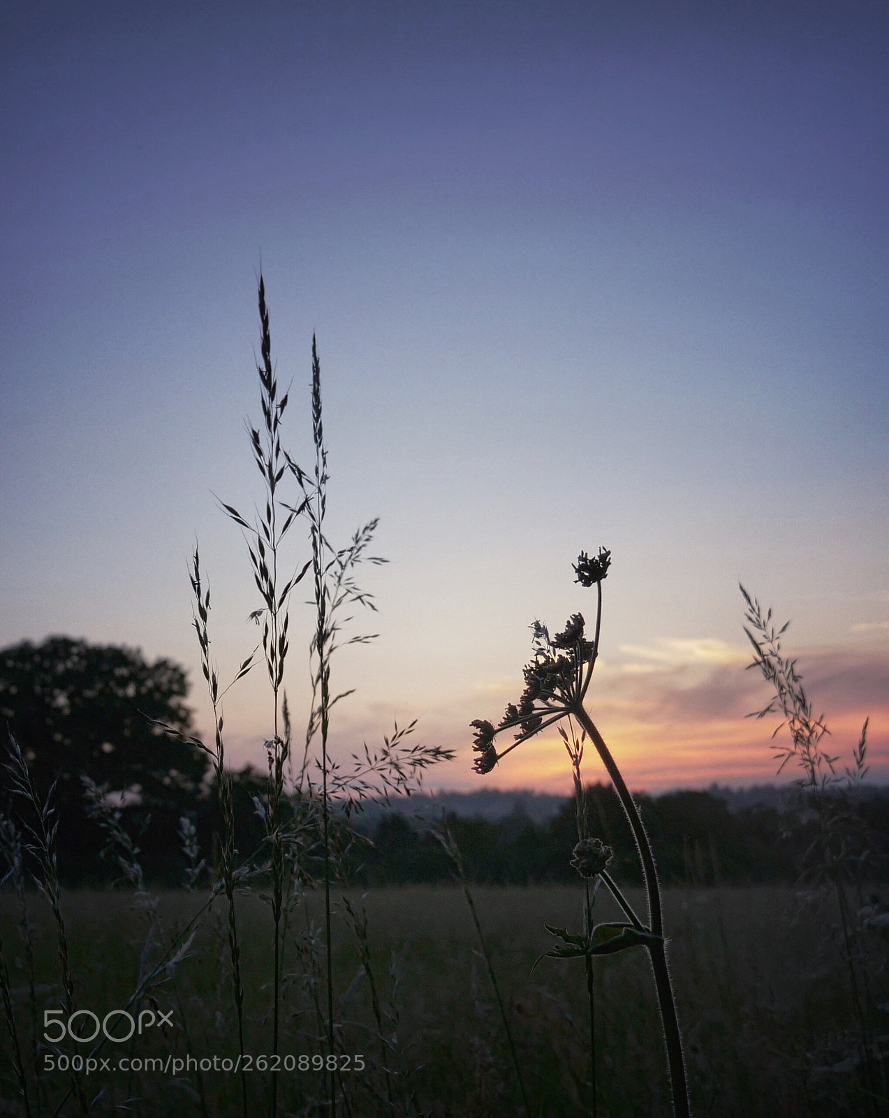 Panasonic Lumix DC-G9 sample photo. Standing high at sunset photography