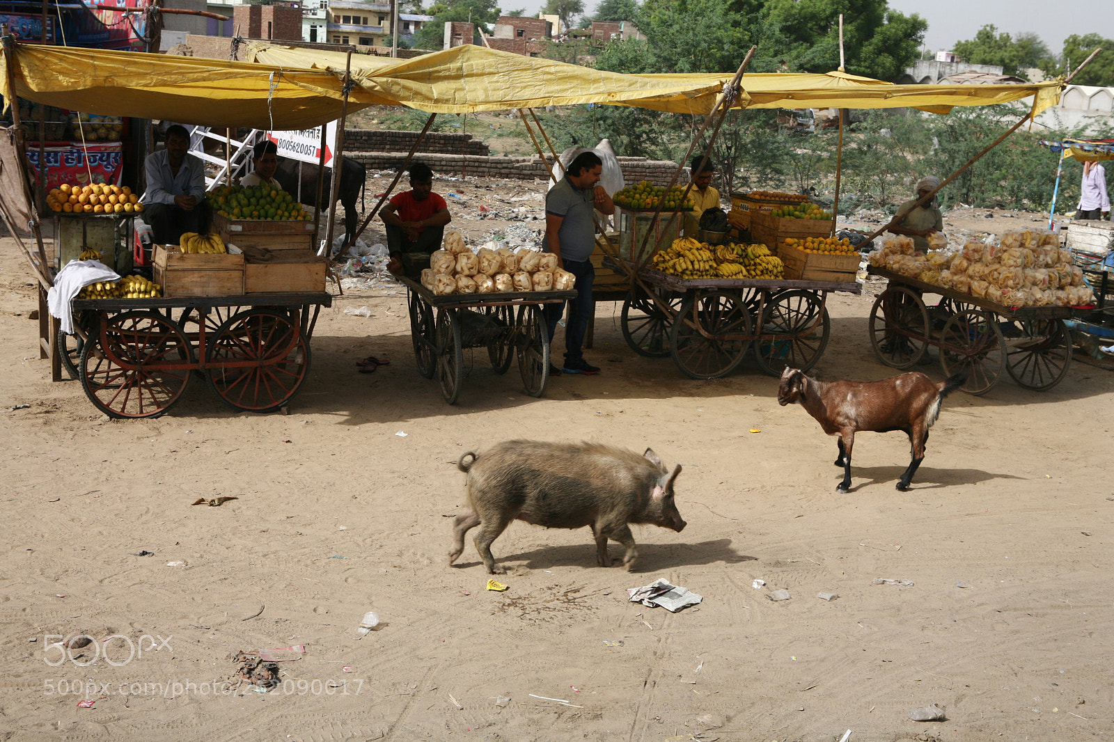 Canon EOS 5D sample photo. India photography