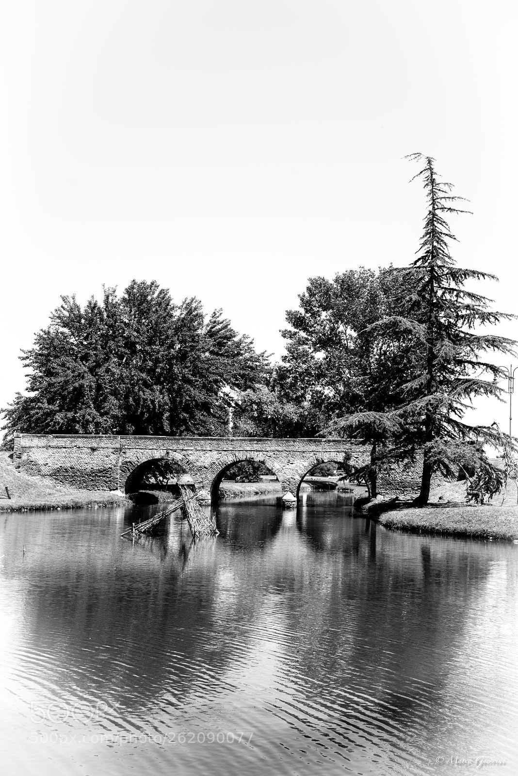 Nikon D750 sample photo. The bridge photography