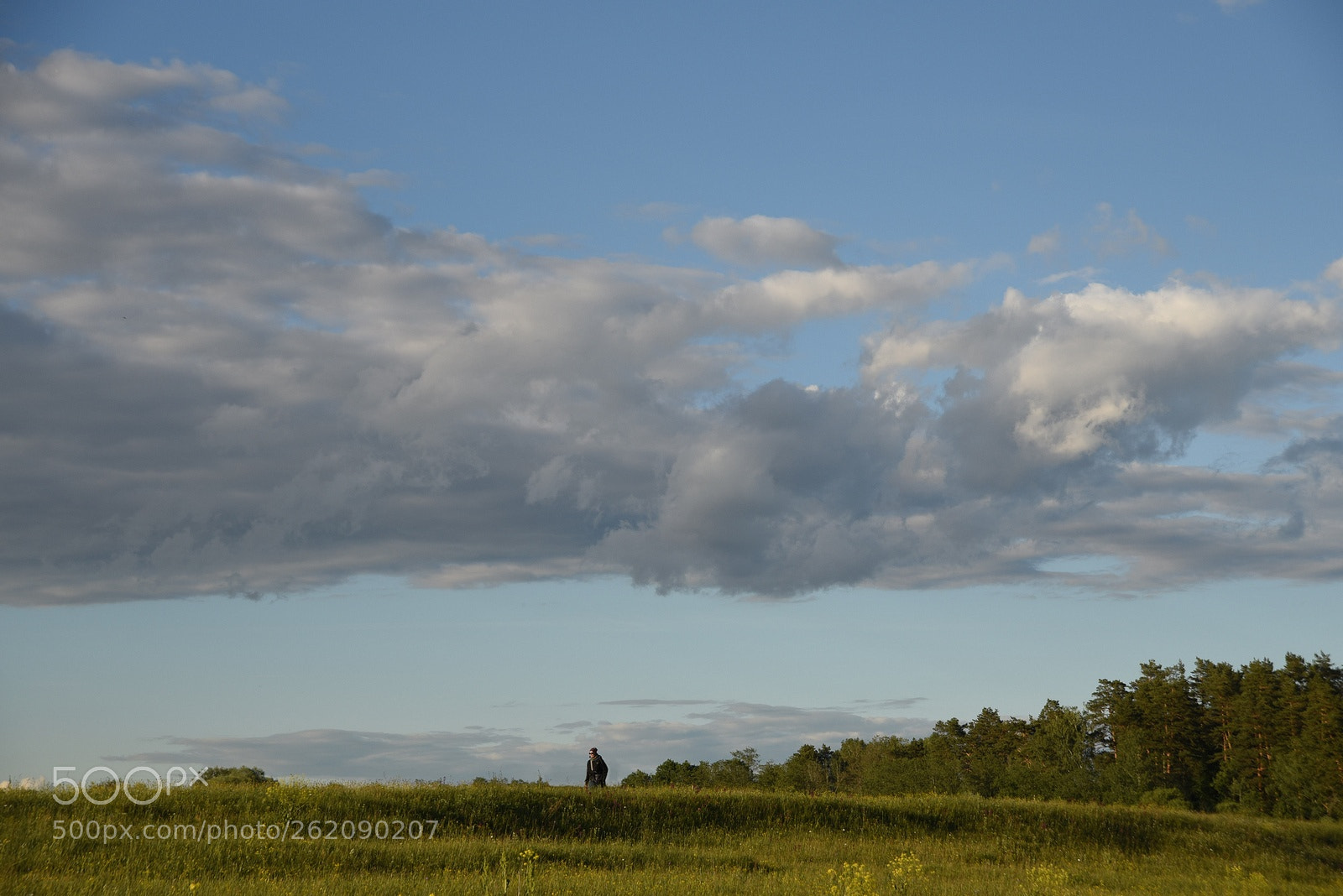 Nikon D750 sample photo. Walking photography