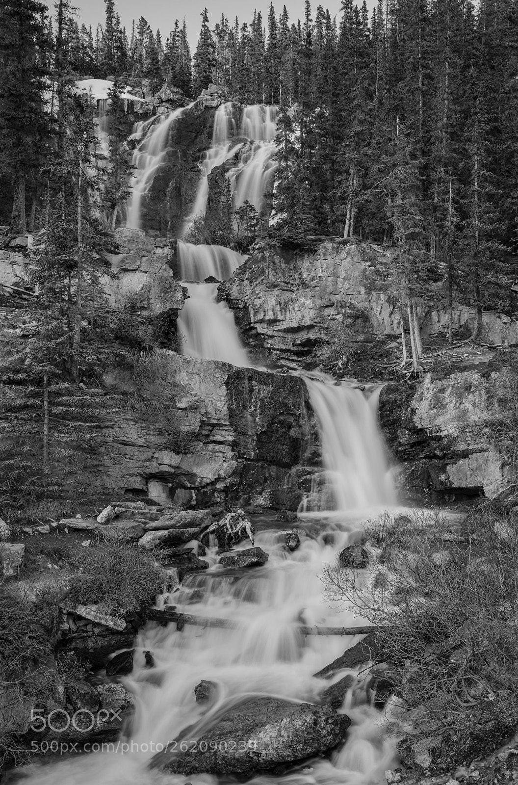 Nikon D850 sample photo. Tangle falls b w-jasper photography