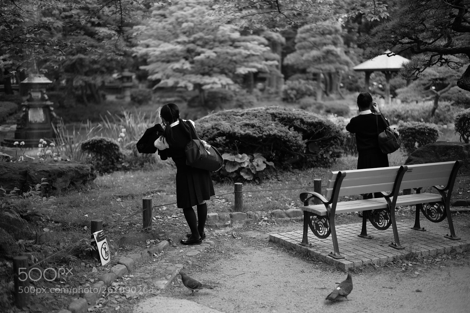 Leica M (Typ 262) sample photo. Tokyo photography