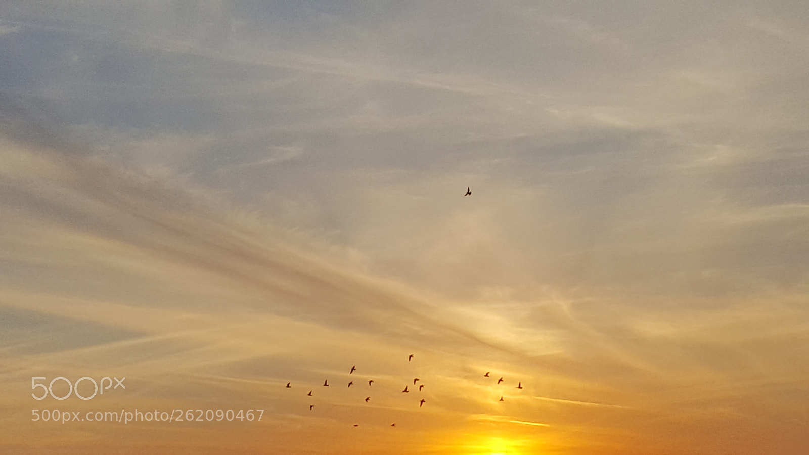 Samsung GALAXY S6 edge sample photo. Orange sky | sunset photography