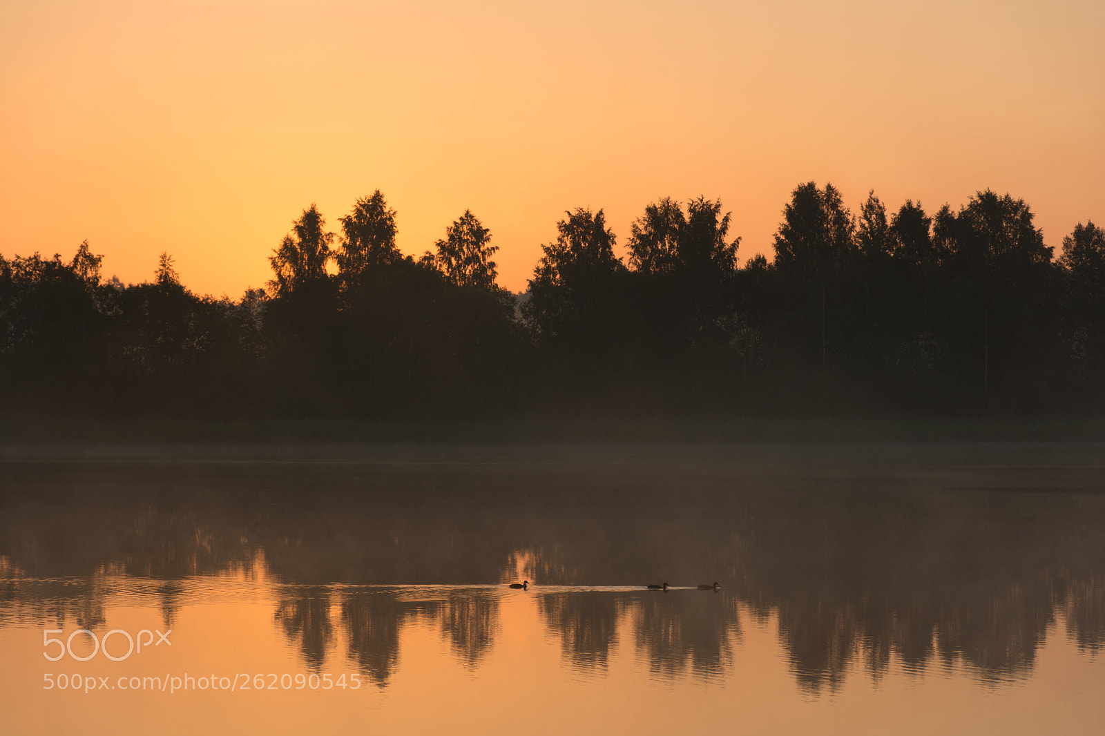 Nikon D7100 sample photo. Peace and quiet. pre-dawn photography