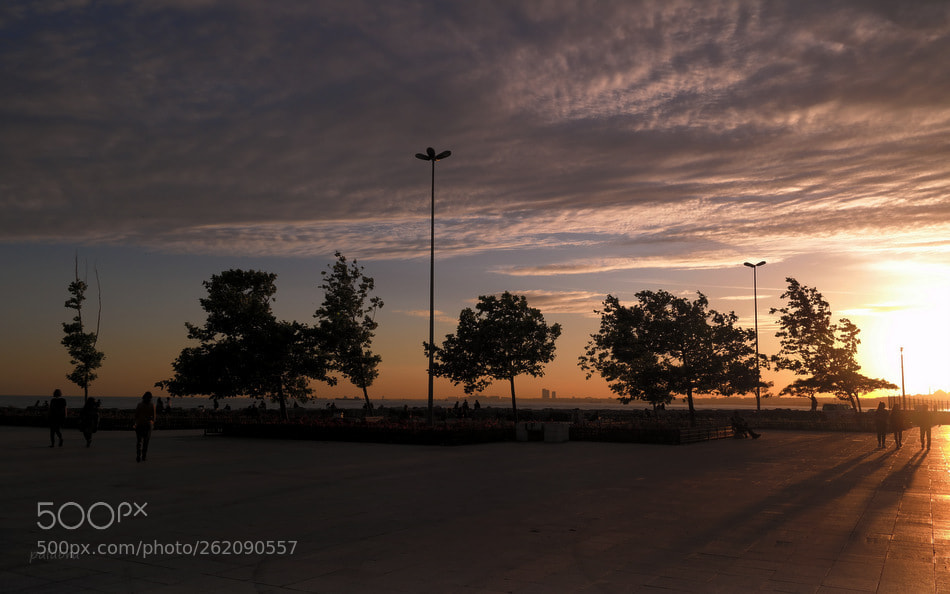 Samsung NX30 sample photo. ... photography