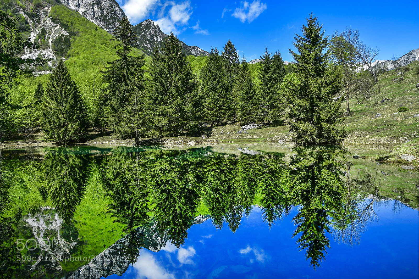 Nikon D500 sample photo. The perfect reflection photography