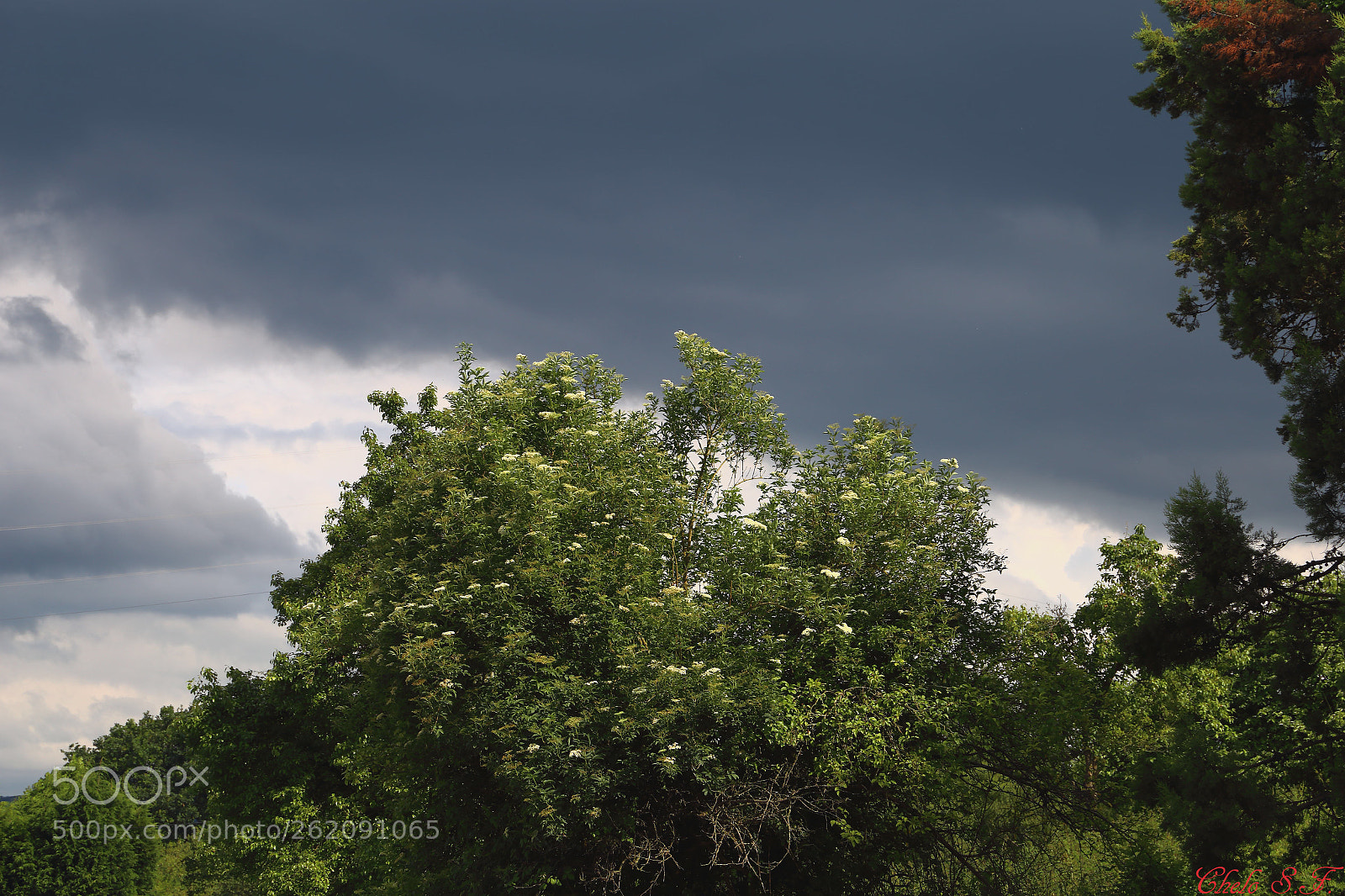 Canon EOS 6D sample photo. Untitled photography