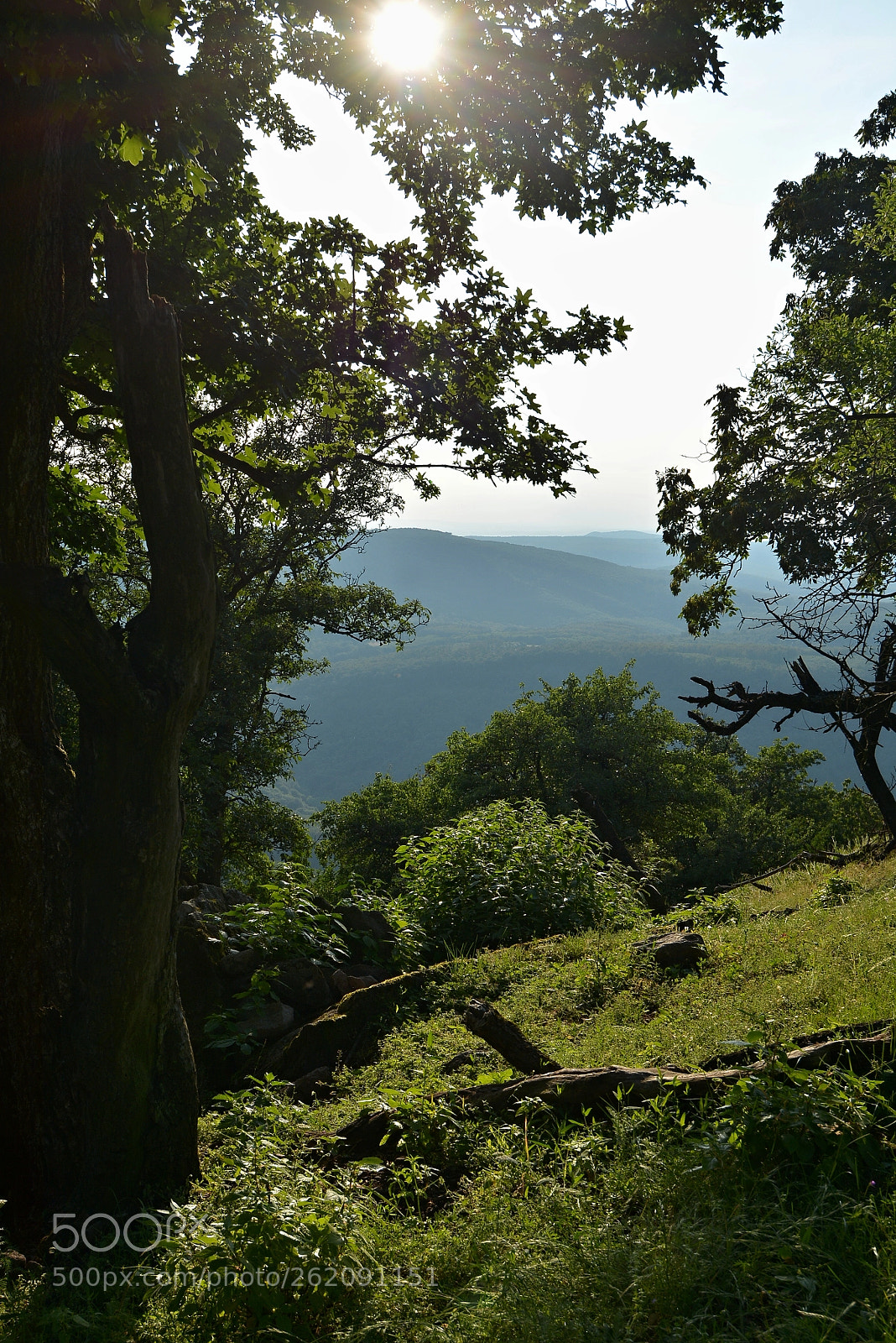 Nikon D7100 sample photo. June, 2018 photography