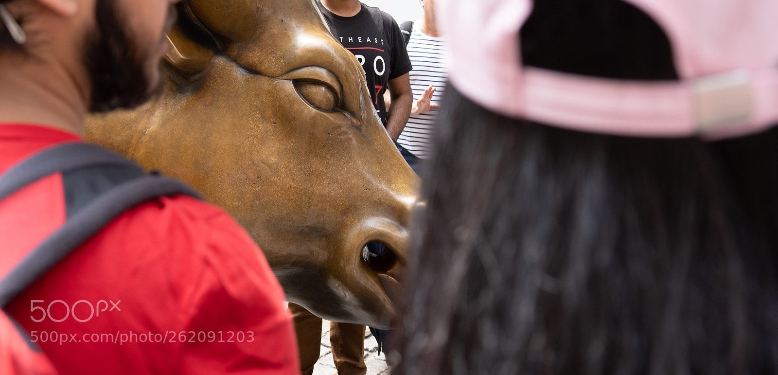Sony a7 III sample photo. Charging bull photography