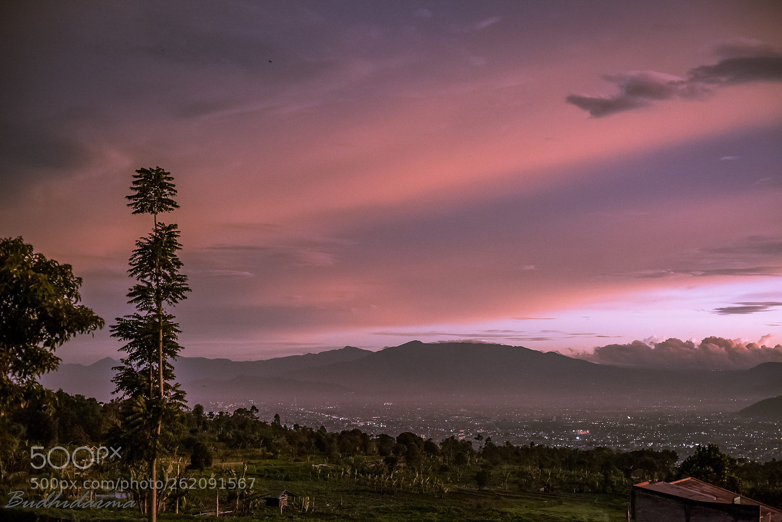 Nikon D810 sample photo. Twilight above photography